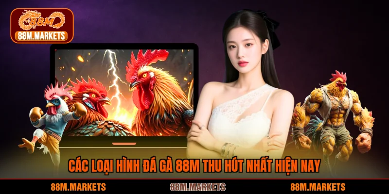 Các loại hình đá gà 88M thu hút nhất hiện nay