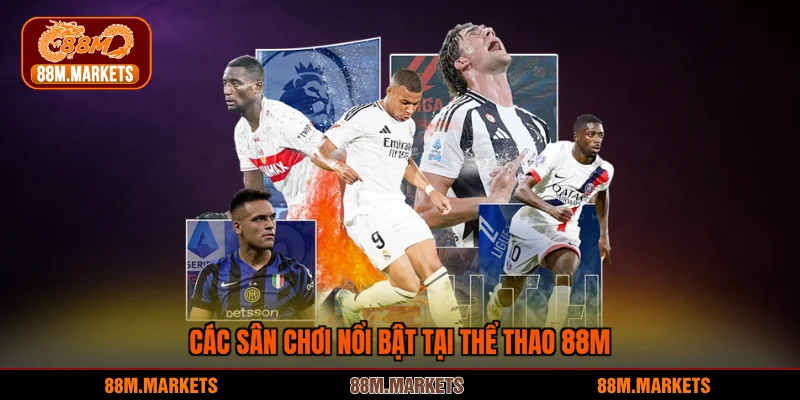 Các sân chơi nổi bật tại thể thao 88M