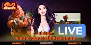 Đá Gà 88M - Nơi Theo Dõi, Chọn Cược Trận Chiến Kê Đỉnh Cao