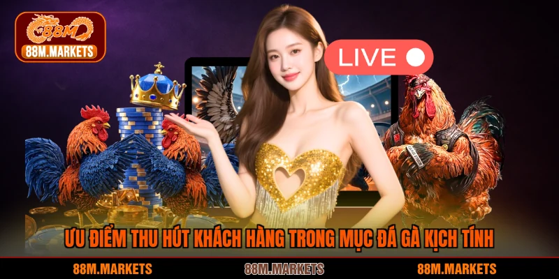 Ưu điểm thu hút khách hàng trong mục đá gà kịch tính